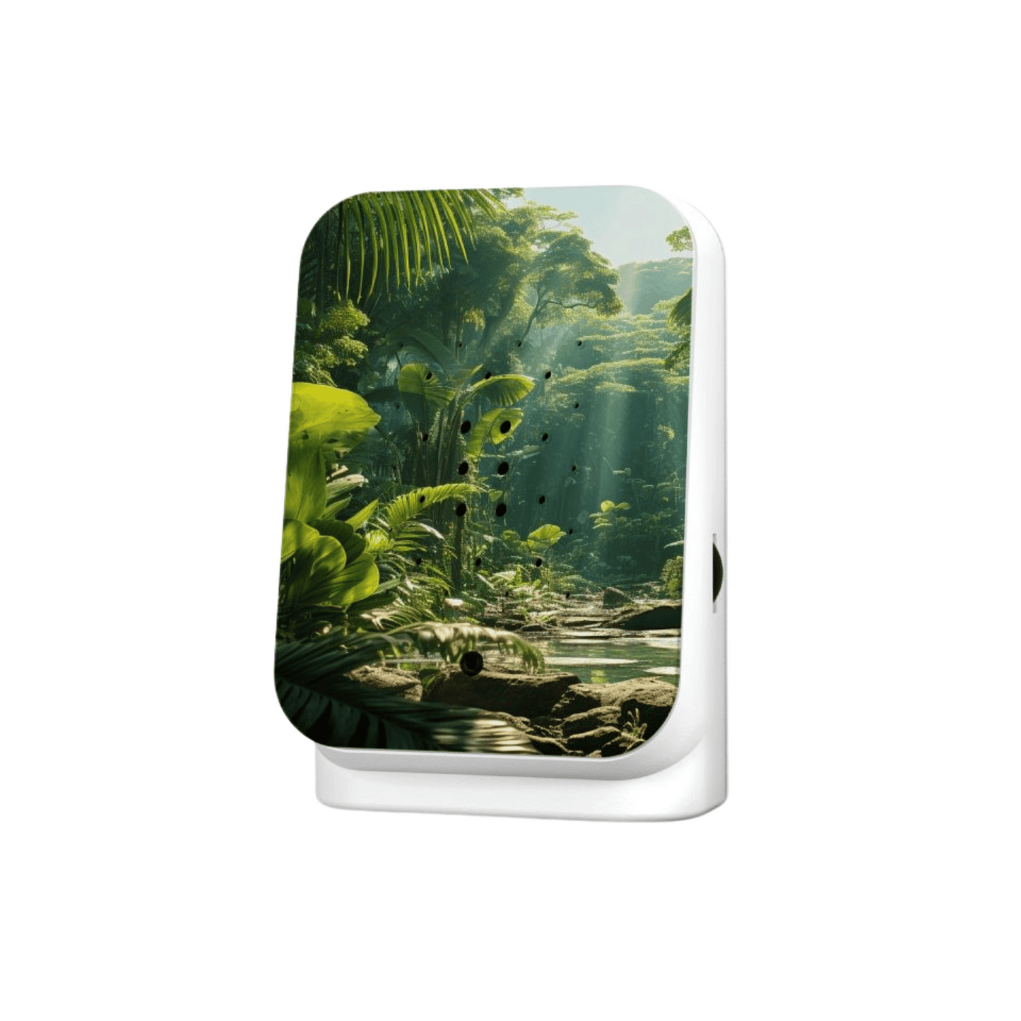 Jungle Box